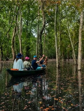 A small canoe carrying travellers through the still, mirrored water of a flooded Amazon forest.